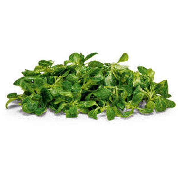 Bio Nüsslisalat