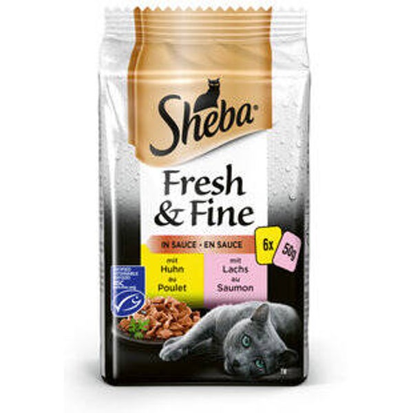 Katzen Futter Nass