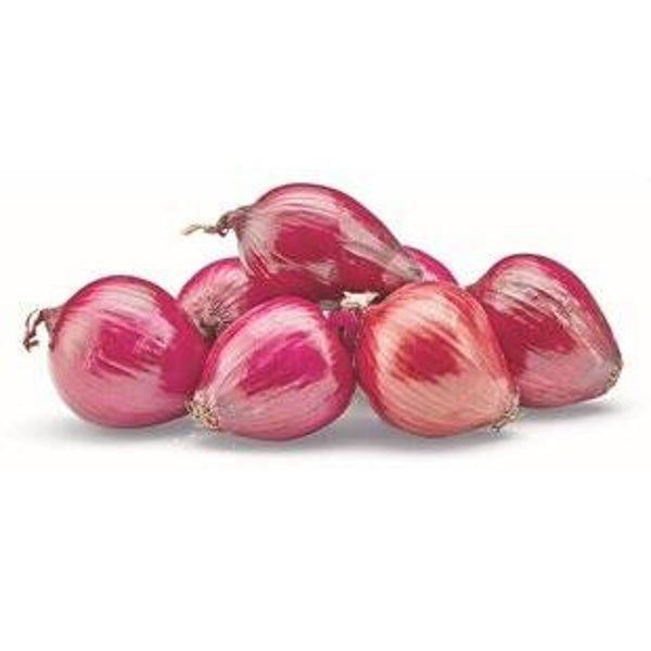 Bio Zwiebeln rot
