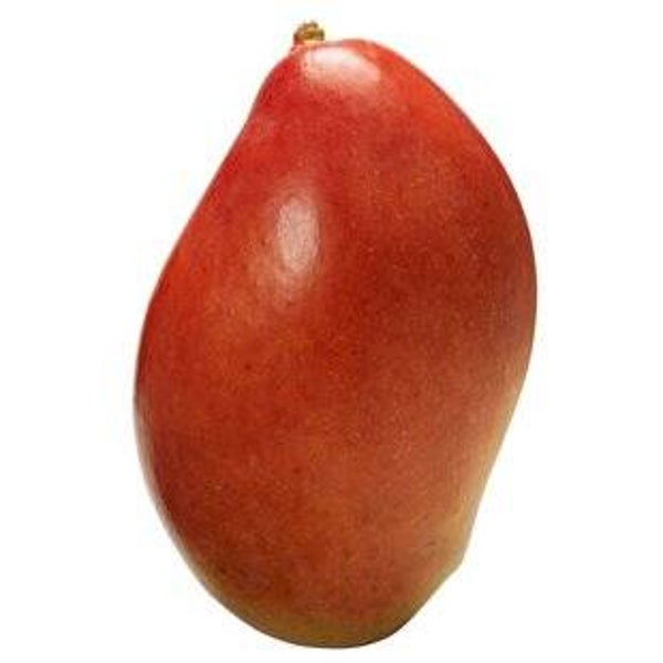 Bio Mango