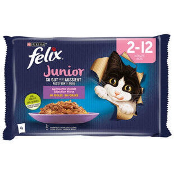 Katzen Futter Nass Junior