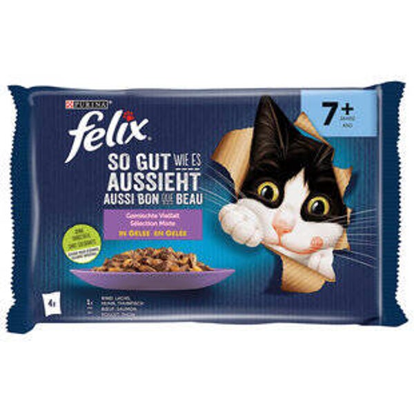 Katzen Futter Nass Senior