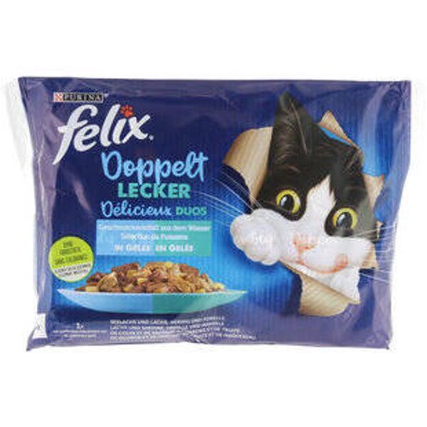 Katzen Futter Nass