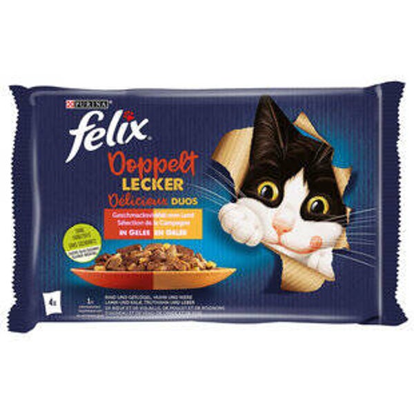 Katzen Futter Nass