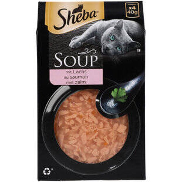 Katzen Futter Nass