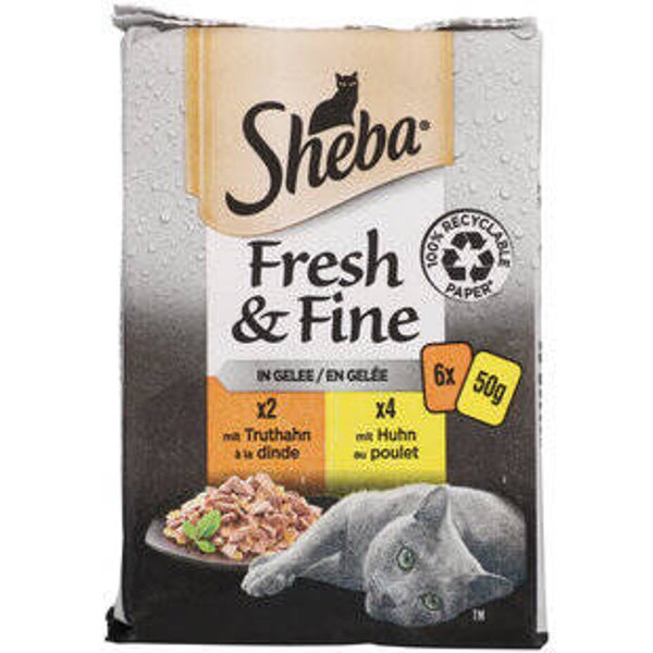 Katzen Futter Nass