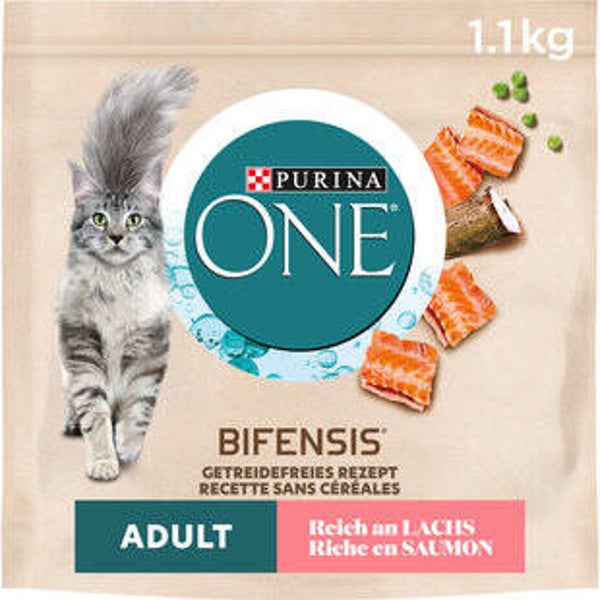 Katzen Futter trocken