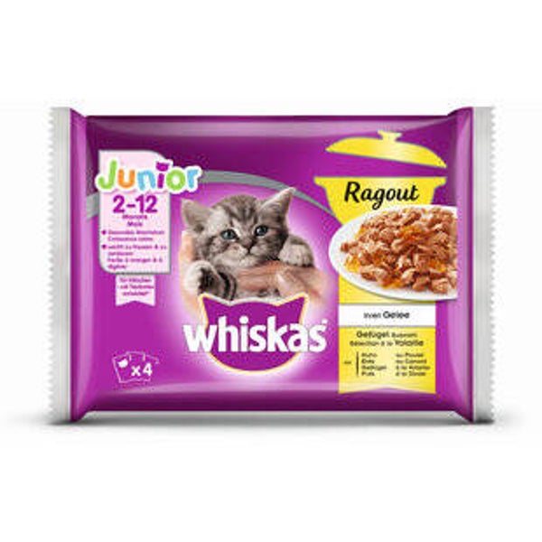 Katzen Futter Nass Junior