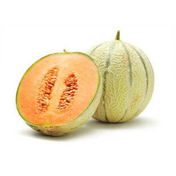 Melone Charentails