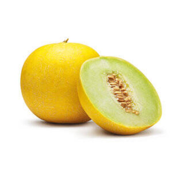Melone Galla