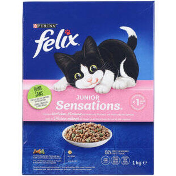 Katzen Futter trocken
