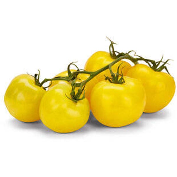 demeter Tomaten Sonnengold