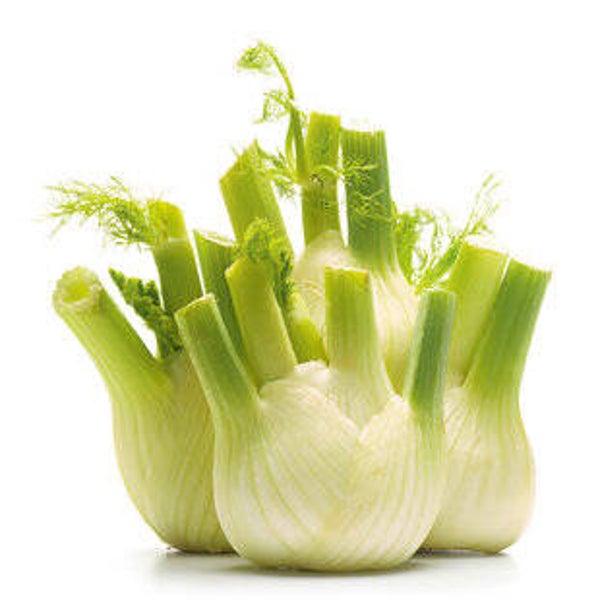 Fenchel