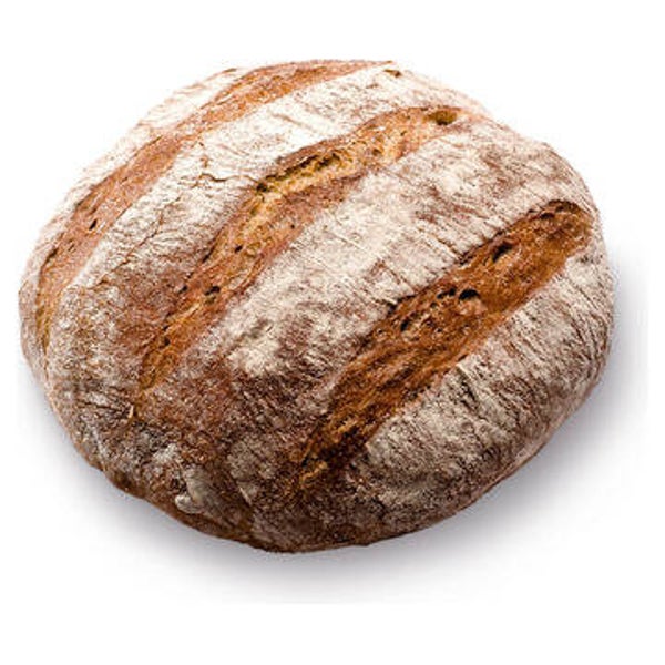 Pane Maggia