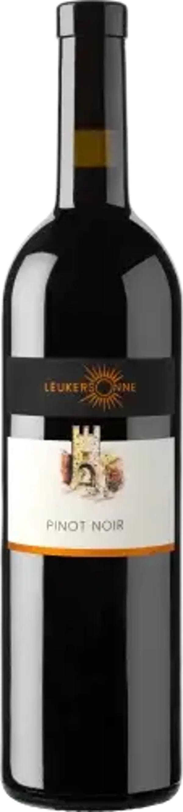 Merlot AOC Valais 1x75cl 13.3% Alk