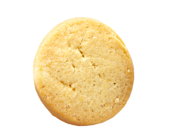 Wernli Sable 1x82.5g