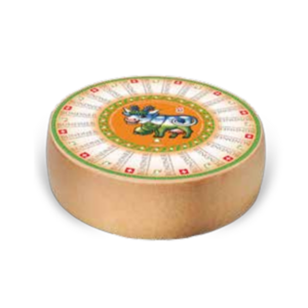 Bio Bündner Bergkäse würzig