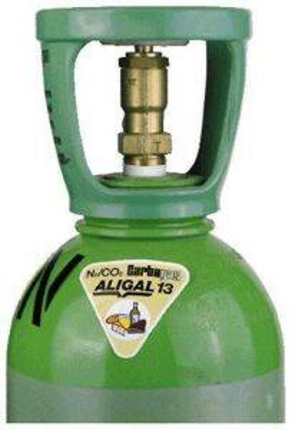 Aligal 13 Carfood