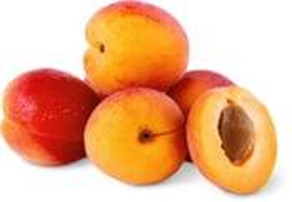 Bio Aprikosen