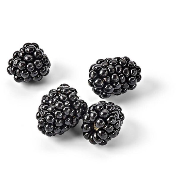 Bio Brombeeren