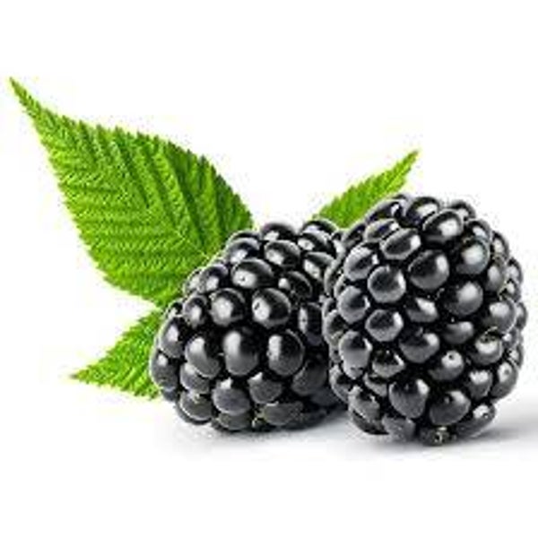 Brombeeren