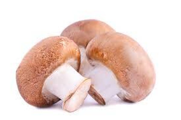 Champignons braun