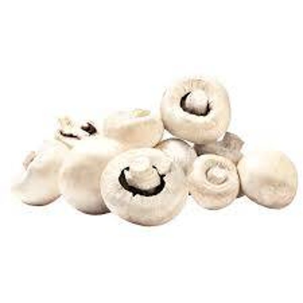 Champignons weiss