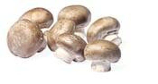 Champignons braun
