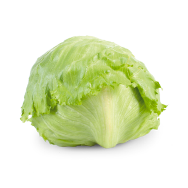 Bio Eisberg