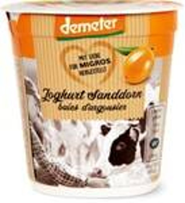 Bio Joghurt sanddorn