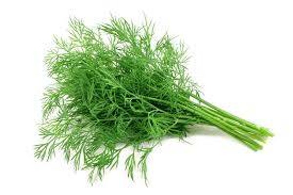 Dill