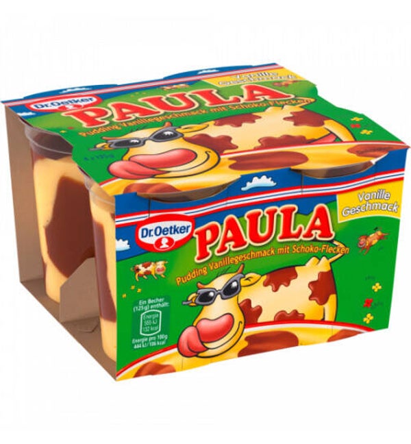 Dr Oetker Paula Vanille mit Schokolade