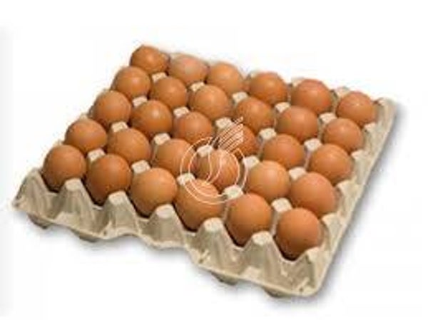 Eier braun