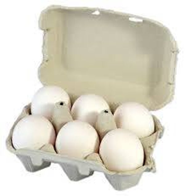 Bio Eier 6 Stk