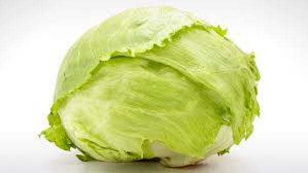 Bio Eisbergsalat