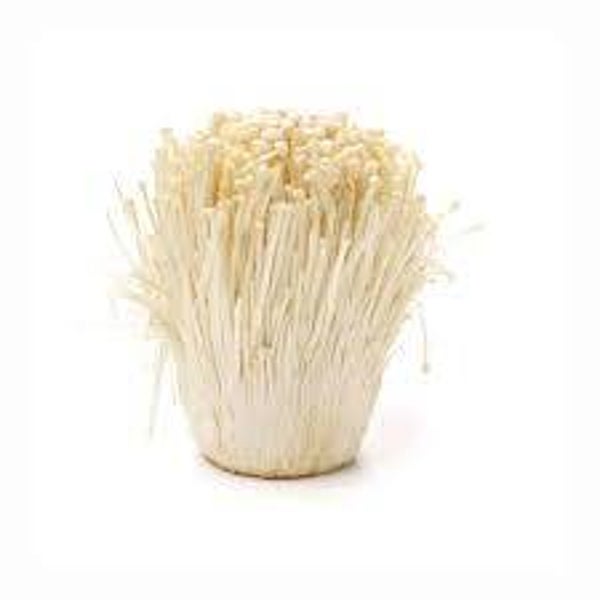 Enoki Pilze