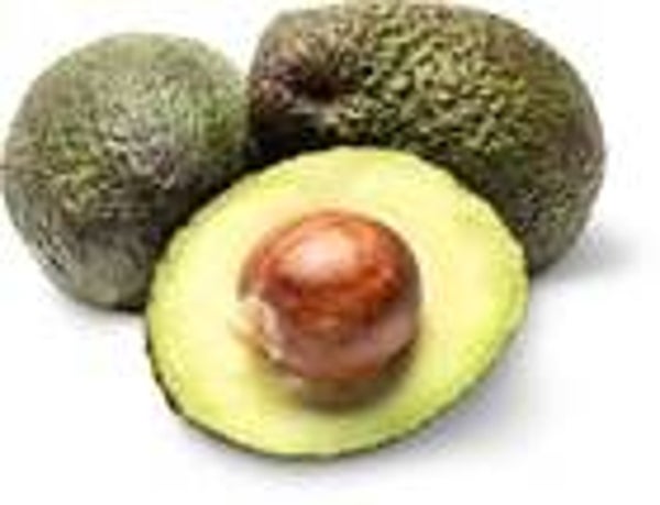 Bio Avocado