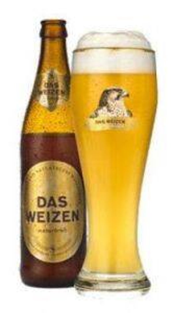 Falken Das Weizen Haras