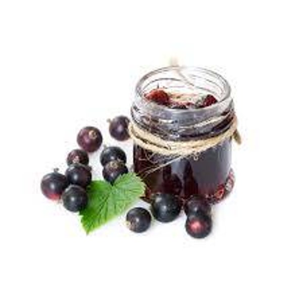 Bio Felsenbirnen Konfitüre