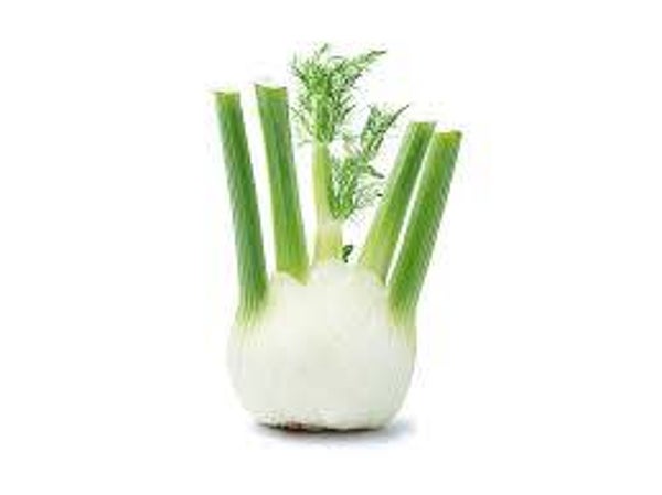 Fenchel