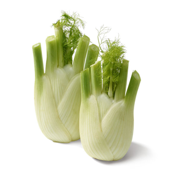 Bio Fenchel