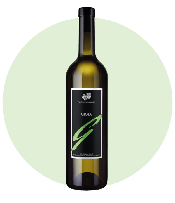 Gioia Bianco del Ticino  1 Flasche 75cl