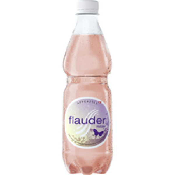 Goba Flauder Holunderbeeren 4x6x24 50cl