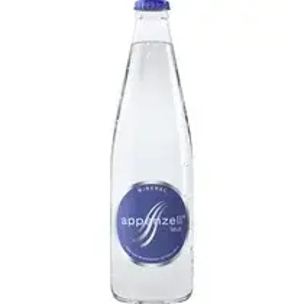 Goba Mineral Laut mich viel Co2 24x33cl
