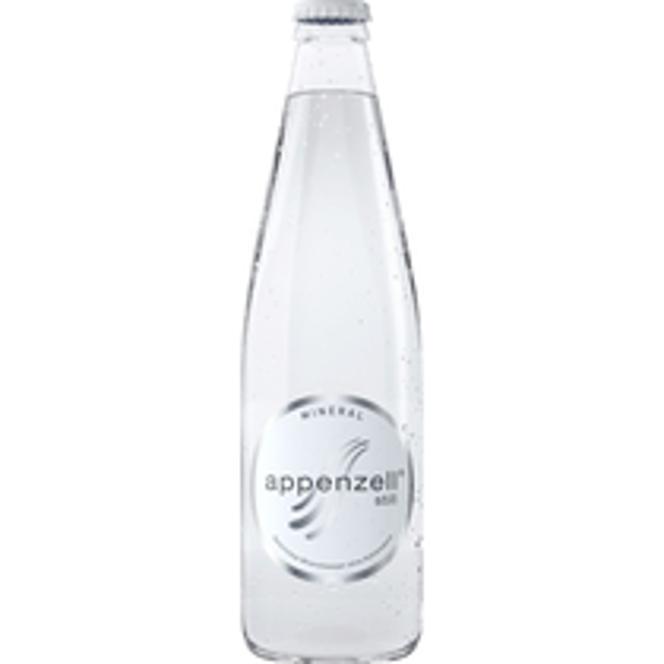 Goba Mineral Still ohne Co 2 24x33cl