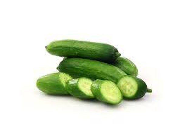 Gastro Gurken
