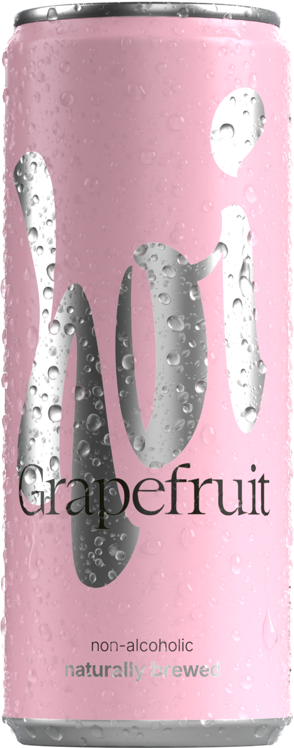 Hoi Grapefruit 6x25cl Alkoholfrei