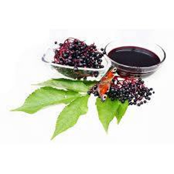 Bio Holunderbeeren Gelee