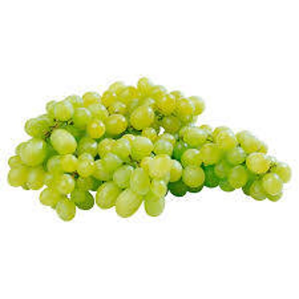 Bio Trauben weiss kernlos