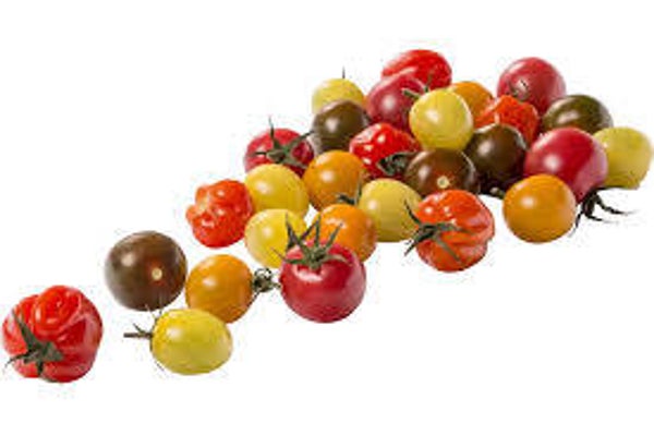 Tomaten Cherry Wildmix